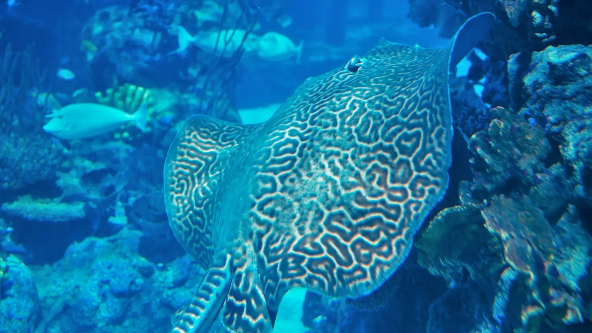 Aquaria Phuket - Photo 55