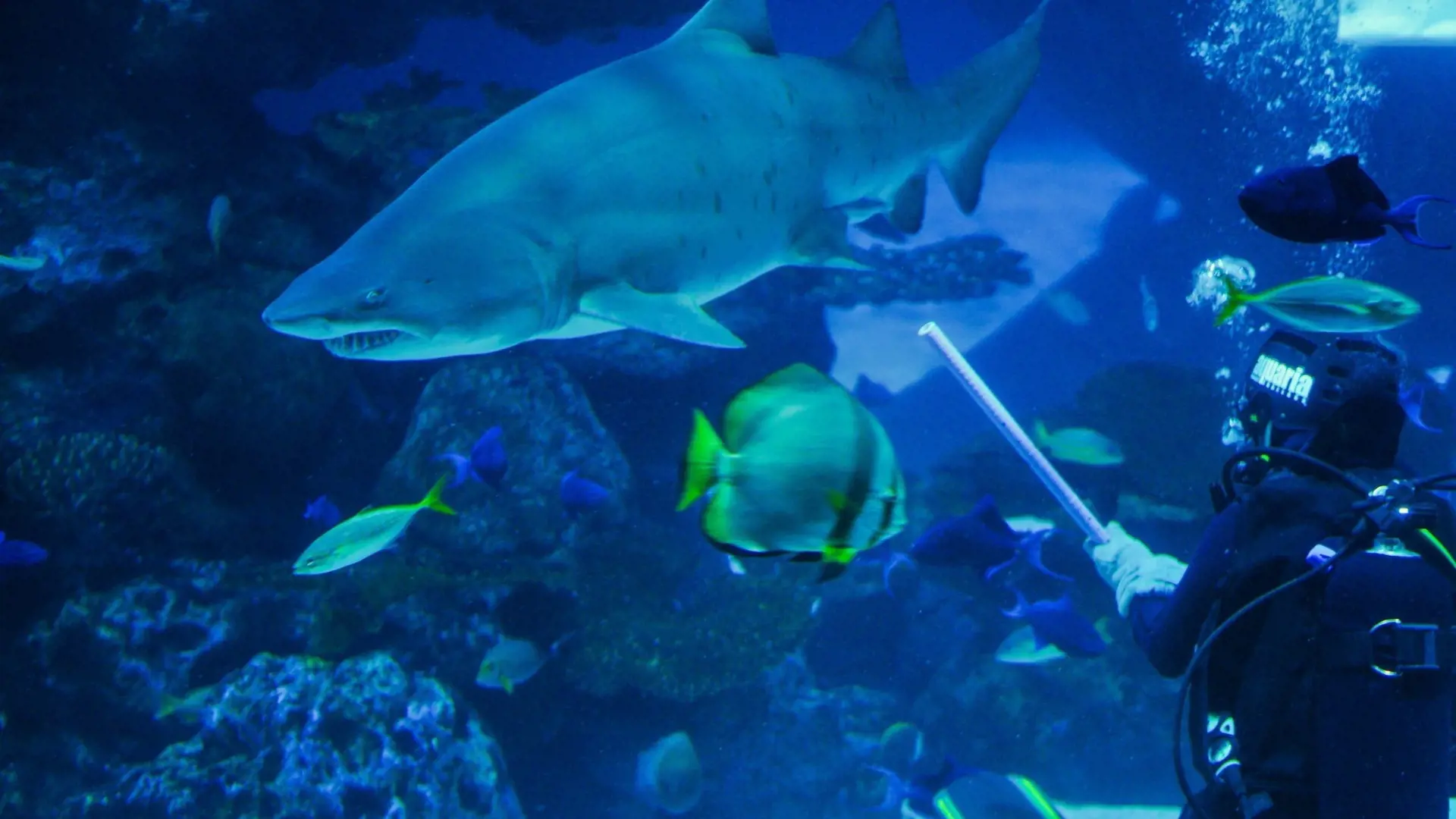 Aquaria Phuket - Photo 57