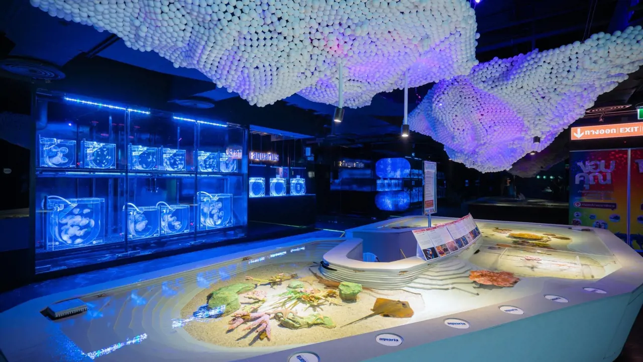Aquaria Phuket - Photo 27