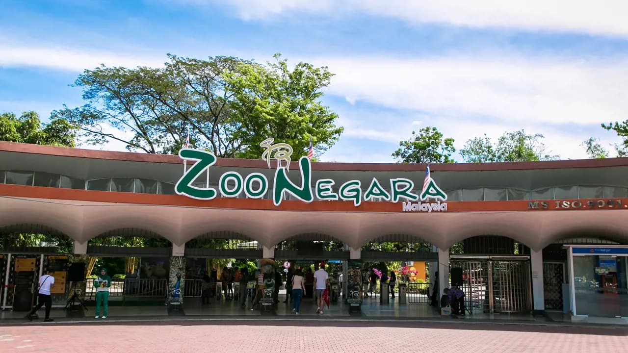 Zoo Negara Malaysia & & Panda Conservation Centre Ticket - Photo 23