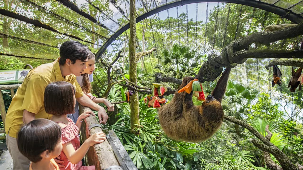 Singapore Zoo Ticket