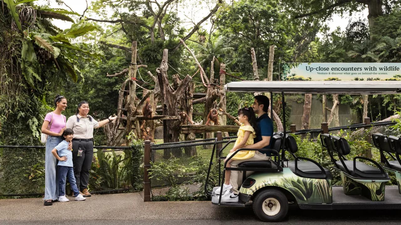 Singapore Zoo Ticket - Photo 4