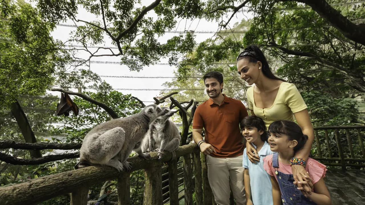 Singapore Zoo Ticket - Photo 9