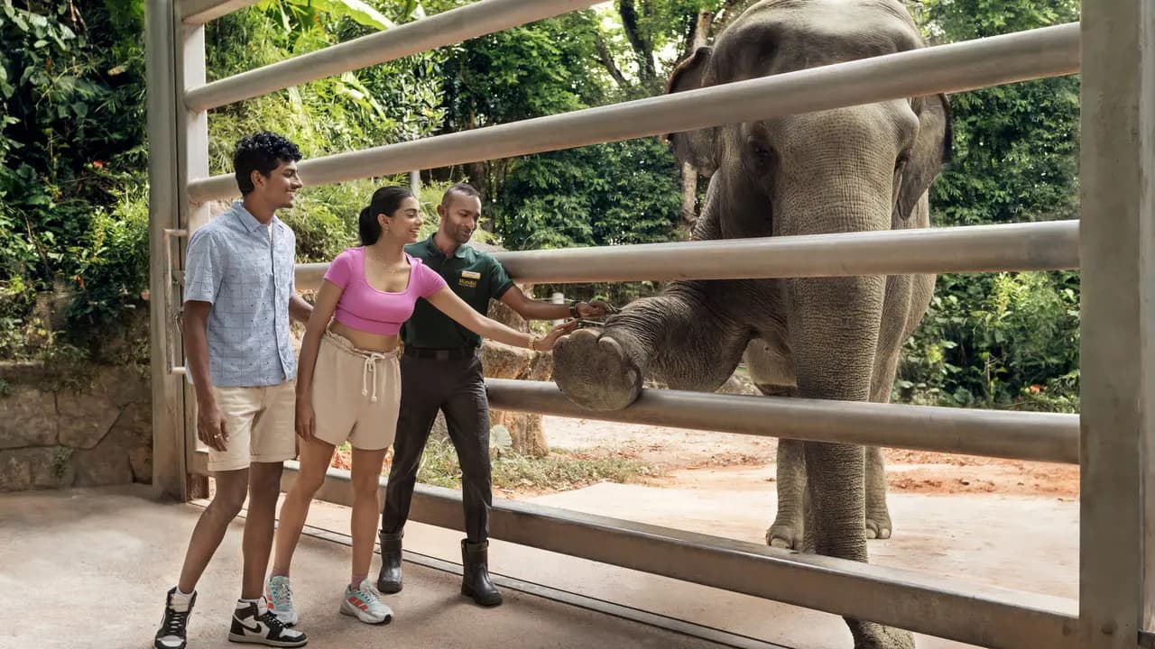 Singapore Zoo Ticket - Photo 10
