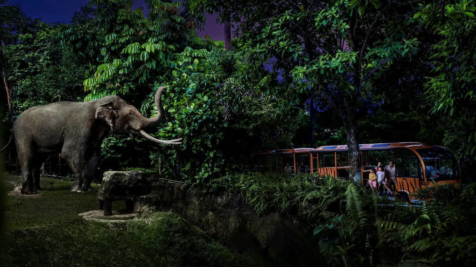 Singapore Night Safari Ticket - Photo 17