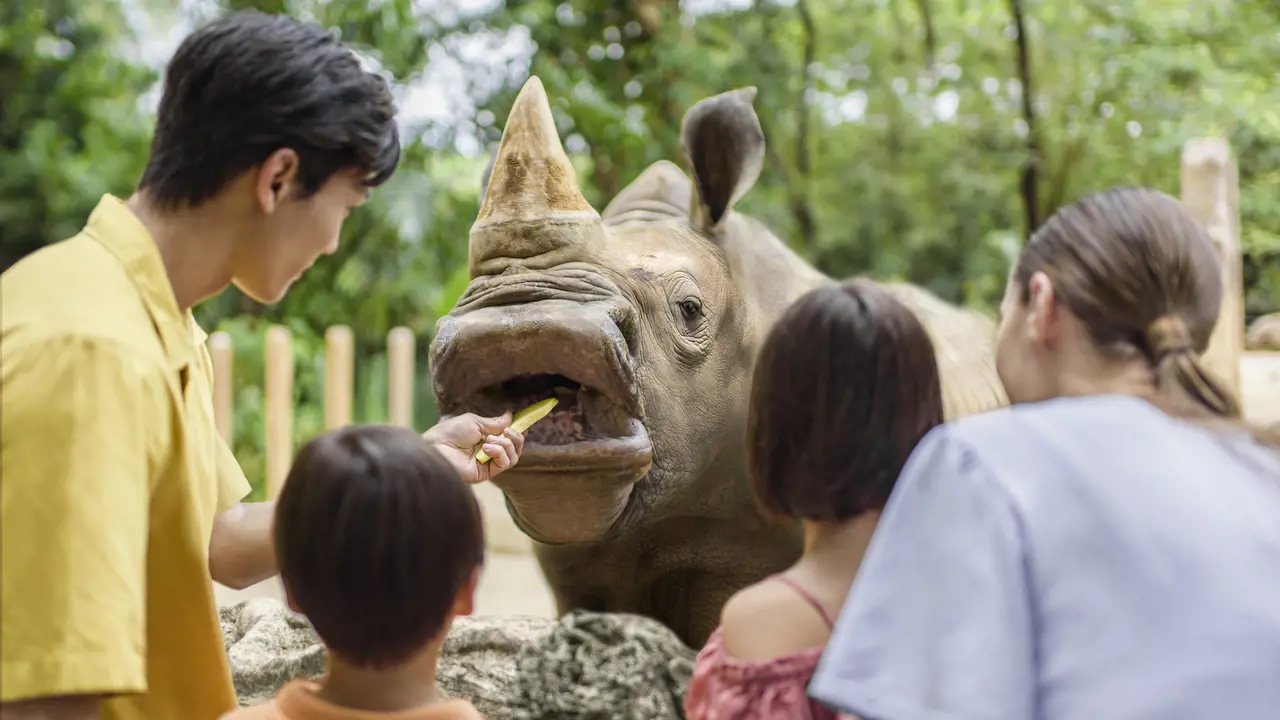 Singapore Zoo Ticket - Photo 11