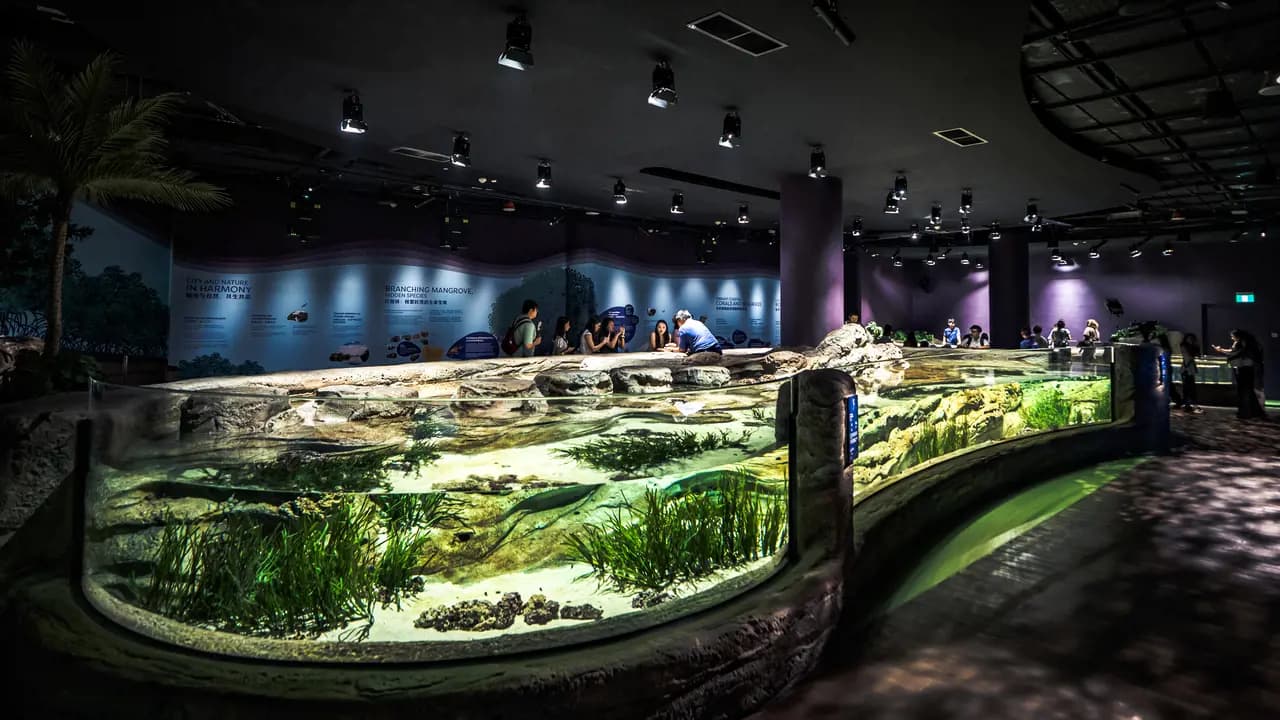 Singapore Oceanarium Ticket - Photo 15