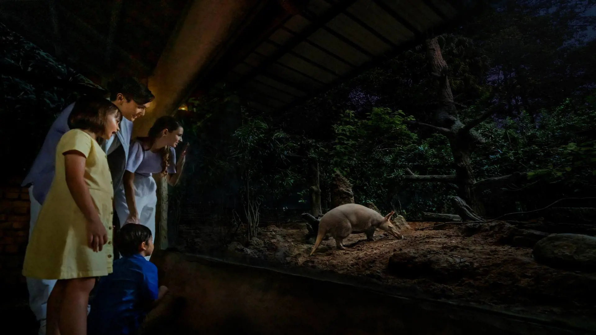 Singapore Night Safari Ticket - Photo 21