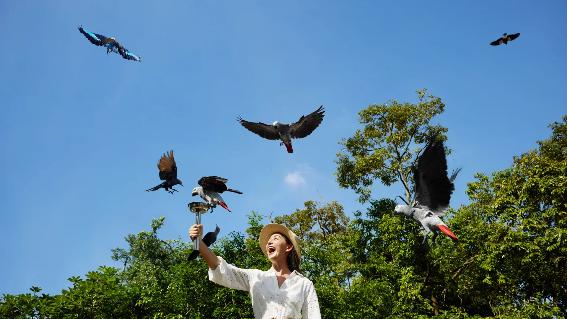 Singapore Bird Paradise Ticket - Photo 22