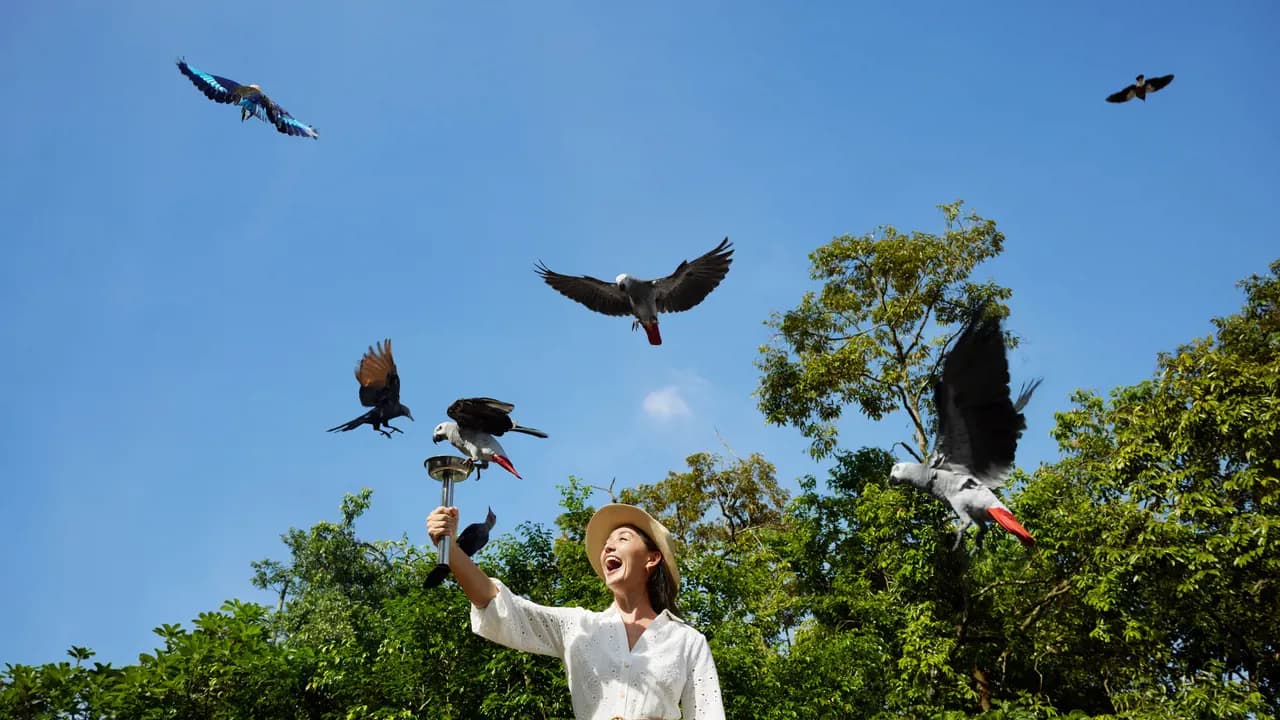 Singapore Bird Paradise Ticket - Photo 5