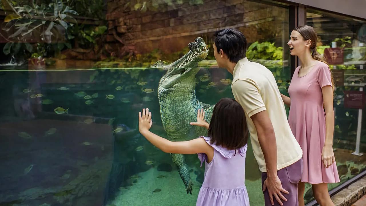 River Wonders Singapore Ticket - Photo 19