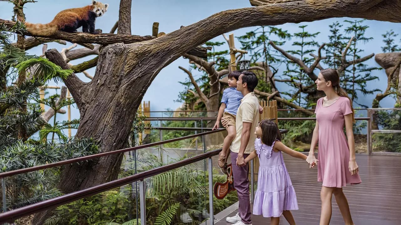 River Wonders Singapore Ticket - Photo 10