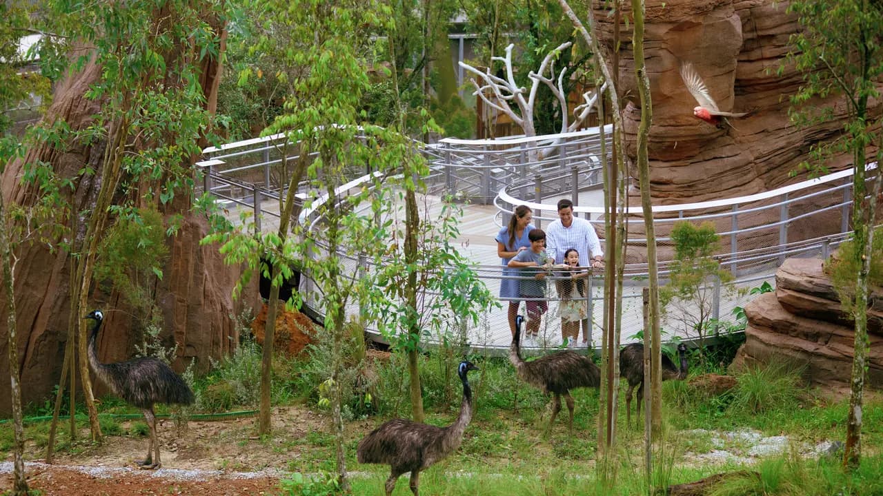 Singapore Bird Paradise Ticket - Photo 12