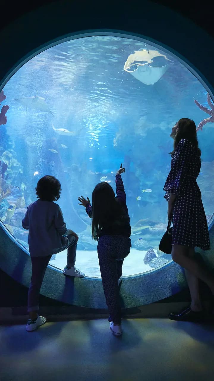Emaar Aquarium and Underwater Zoo Ticket - Photo 4