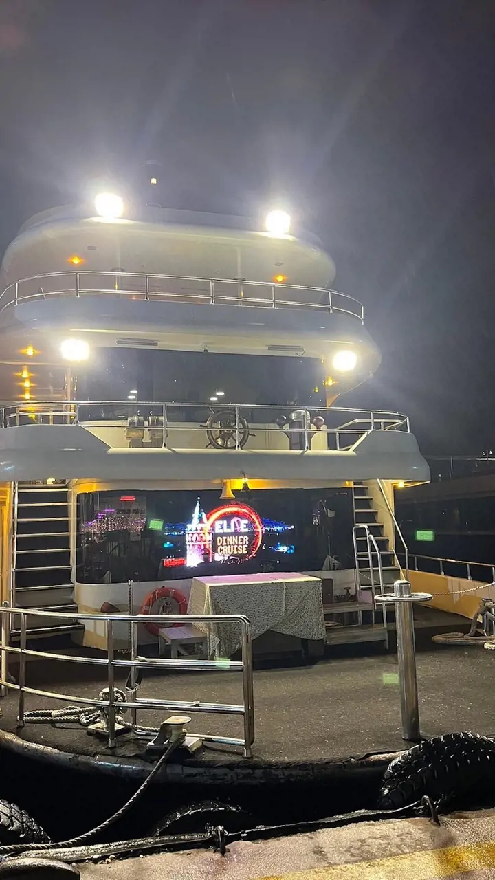 Bosphorus Dinner Cruise with Turkish Night Show - Photo 7