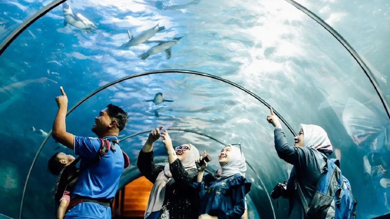 Underwater World Langkawi Ticket - Photo 24
