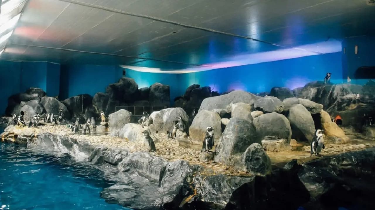 Underwater World Langkawi Ticket - Photo 32