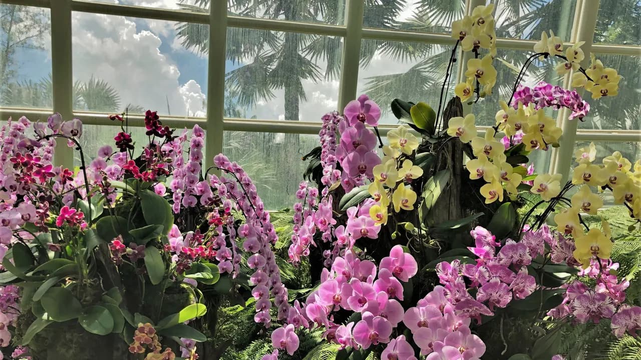 National Orchid Garden Ticket - Photo 14