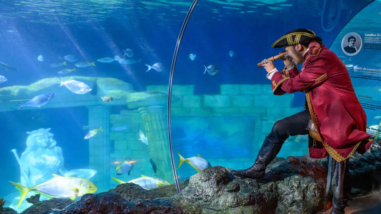 SEA LIFE Porto Ticket - Photo 6