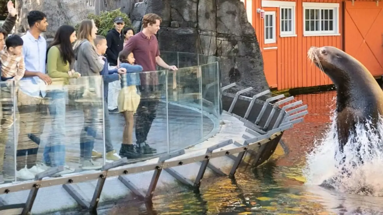 Vancouver Aquarium Ticket - Photo 3