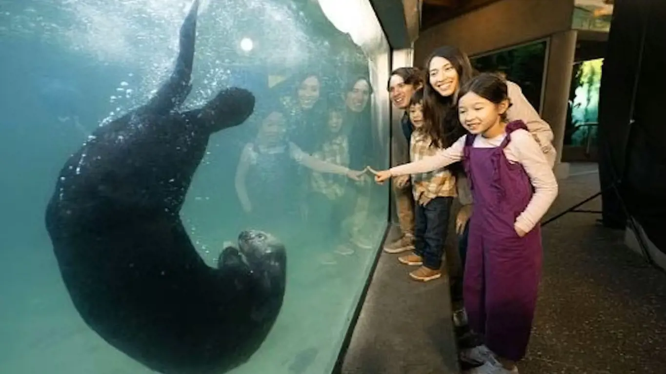 Vancouver Aquarium Ticket - Photo 24