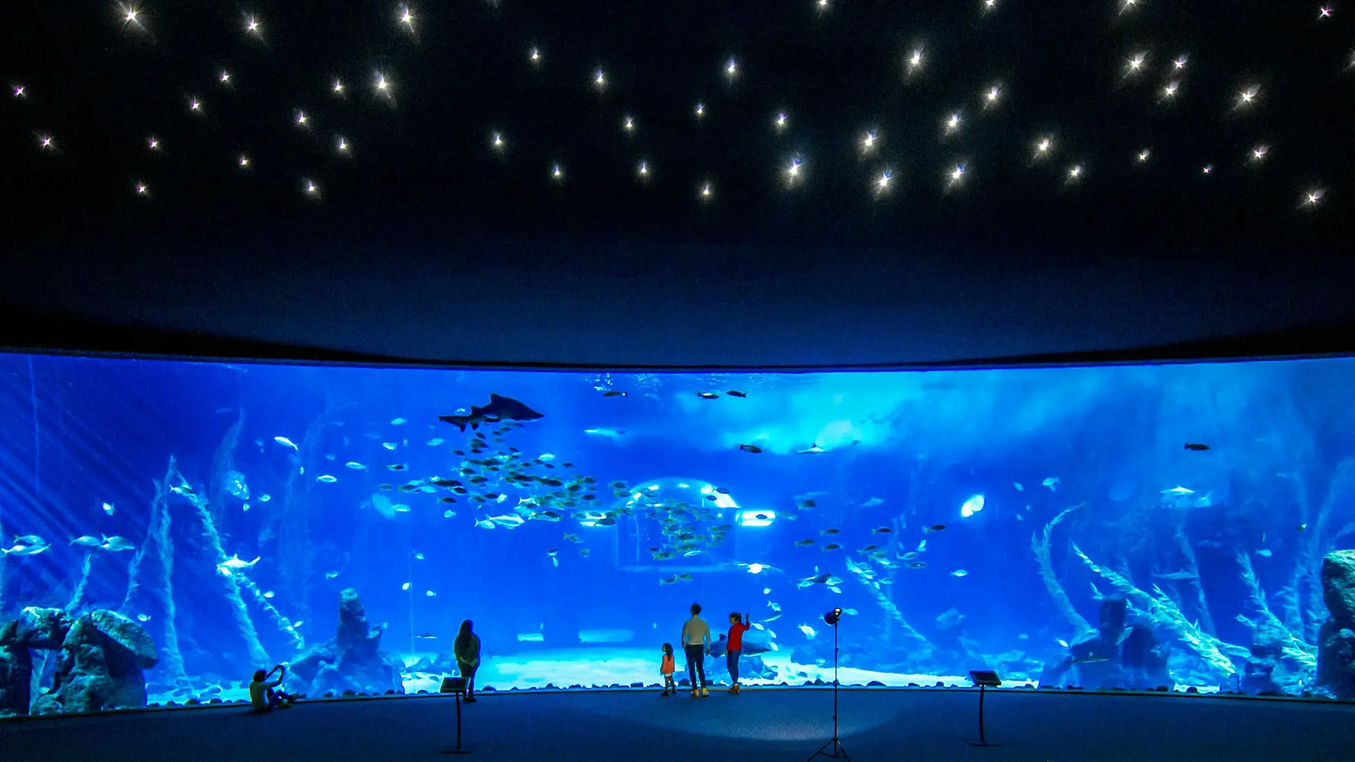 Poema del Mar - Aquarium Gran Canaria: Skip The Line Ticket - Photo 11